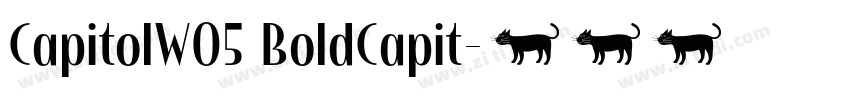 CapitolW05 BoldCapit字体转换